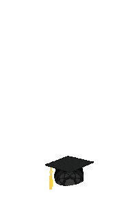 Celebration Hat Sticker by PLU