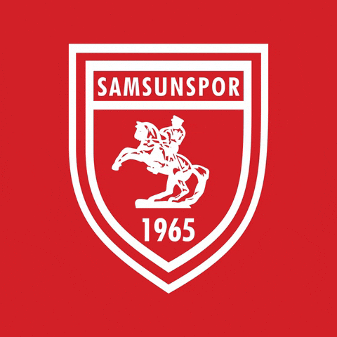 King Of The North GIF by YILPORT SAMSUNSPOR