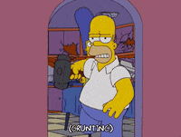 homer simpson GIF