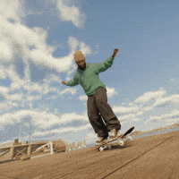 Skateboarding Dark Slide GIF by skate.