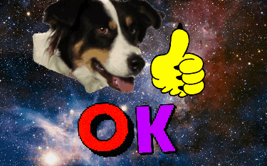 Barnaby Ok GIF by Justin