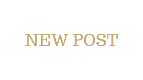 New New New Sticker by Lohr-Nehmer PR