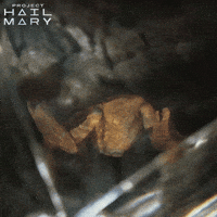 Amazon Hello GIF by Project Hail Mary