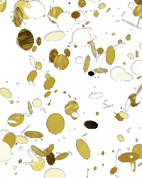 Gold Confetti Sticker by Hall des Lumières