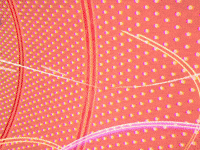 Spider-Man Man GIF