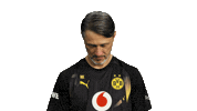 Look Up Borussia Dortmund Sticker by Bundesliga