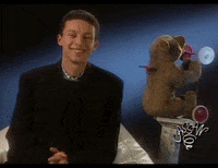 Snuls wtf belgique les snuls belge GIF