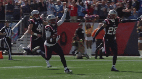 Football Nfl GIF by New England Patriots