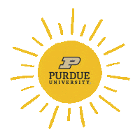 Sun Yoga Sticker by Purdue University