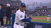 Los Angeles Dodgers Sport GIF by MLB
