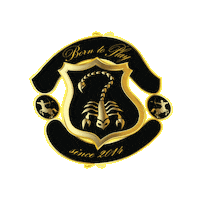 BornToPlay btp b2p borntoplay voetbalskills Sticker