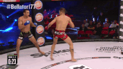 GIF by Bellator