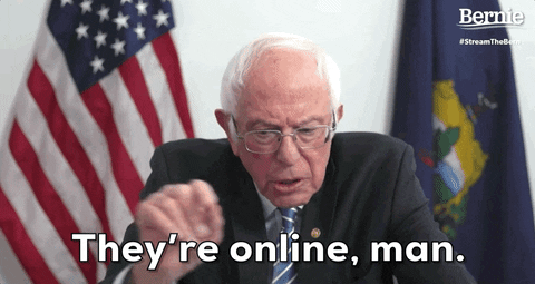 Bernie Sanders GIF by Election 2020