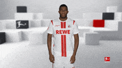 Posing Line Up GIF by Bundesliga