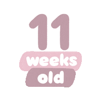 Baby Age Sticker by westeggpress
