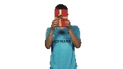Happy Christmas Tree Sticker by Bundesliga