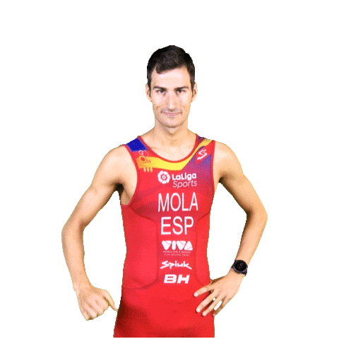 Celebration Winner Sticker by BH BIKES