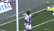 King Of The North GIF by YILPORT SAMSUNSPOR