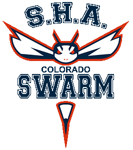 Basketball Swarm Sticker by Stroope Hoop Academy