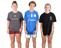 Mc Sticker by THE DOGS - TSV Pfungstadt Handball