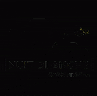 Saskatoon GIF by NuitBlancheYXE