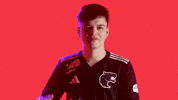 London Esports GIF by BLAST