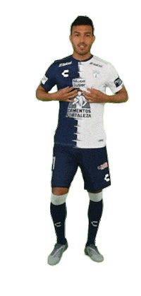 Liga Mx Mexico Sticker by Club Pachuca Tuzos