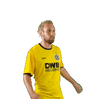 Sommer Sticker by BFC Dynamo