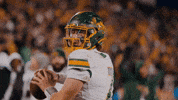 Ndsu Football GIF by NDSU Athletics