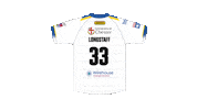 The Wire Sticker by Warrington Wolves