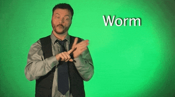 sign language worm GIF by Sign with Robert