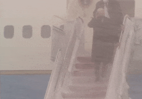 Joe Biden Snow GIF by GIPHY News