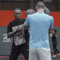 Mixed Martial Arts Sport GIF by UFC