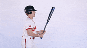 Texas Tech Ncaa GIF by Texas Tech Baseball