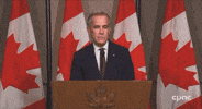 pistonspy canada maple leaf carney elbows up GIF