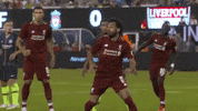 premier league mo salah GIF by Liverpool FC