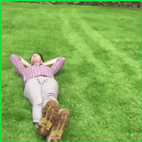 padre coche GIF
