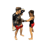 Muay Thai Punch Sticker by Eminent Air Muay Thai Singapore