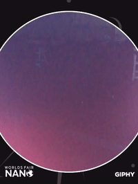 worlds fair nano GIF