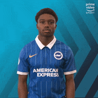 Premier League Football GIF by Prime Video