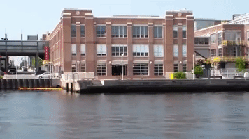 maryland GIF