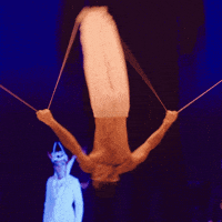 Mood What GIF by Cirque du Soleil