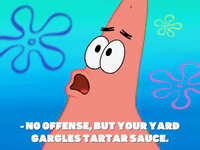 season 7 GIF by SpongeBob SquarePants