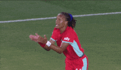 Encourage Lets Go GIF by National Women's Soccer League