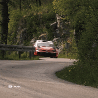 Fast Car Racing GIF by FIA World Rally Championship