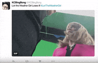 maker studios lol GIF by The STATION By MAKER 