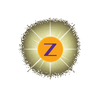 Sun Tan Sticker by Zoom Tan