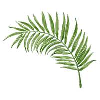 Palm Leaf Sticker