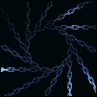 Loop Bitcoin GIF by xponentialdesign