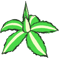 Plant Agave Sticker